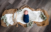 Caleb Newborn Session {October 2022}