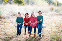Hamshar Family {October 2025}
