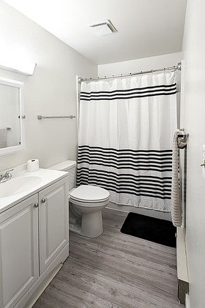 1 Bdrm Unit (Bathroom)
