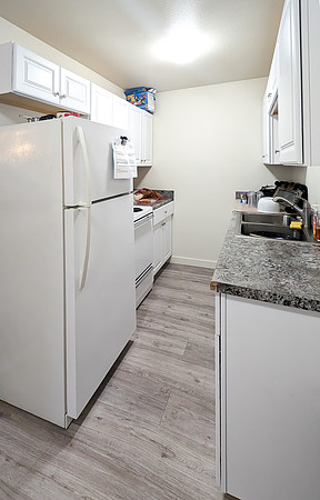 1 Bdrm Unit (Kitchen)